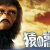映画「猿の惑星」シリーズはHulu・U-NEXT・Netflixどれで配信してる？