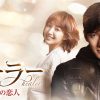 韓国ドラマ『ヒーラー ～最高の恋人～』はHulu・U-NEXT・Netflixどれで配信してる？