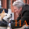 『HACHI 約束の犬』はHulu・Netflix・FODのどれで配信してる？